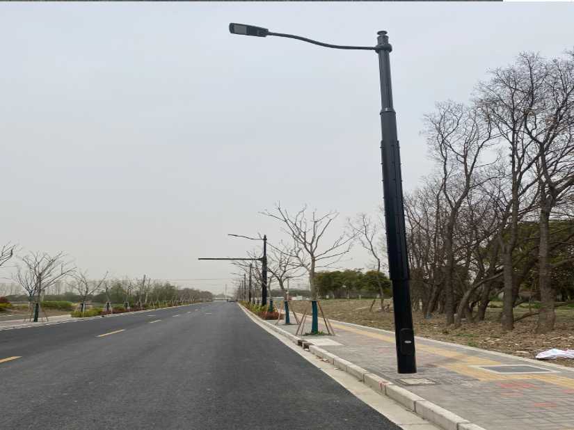 覃塘区上海综合杆 太阳能路灯工程